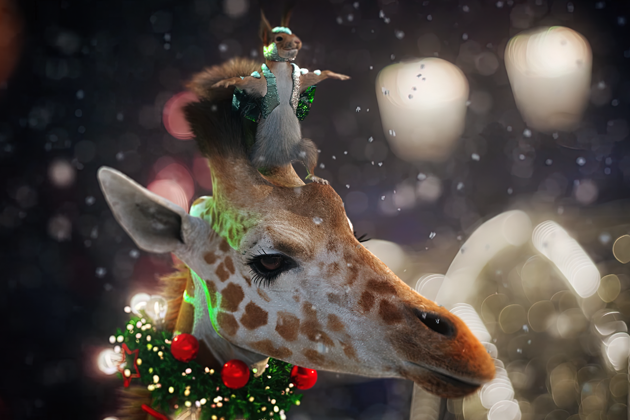 В межпрограммных роликах на Первом в этом году компаньонами для популярными белок стали жирафы